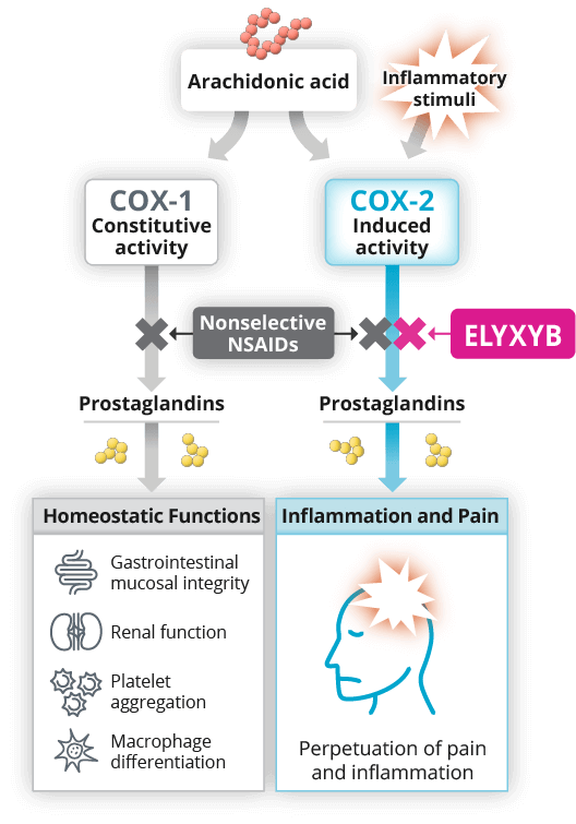 Cox-2 vs. Cox-1 MOD flowchart